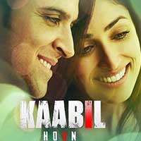 Hollywood Remake Of Kaabil