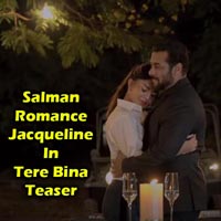 Salman Khan Romance Jacqueline Fernandez In Tere Bina Teaser